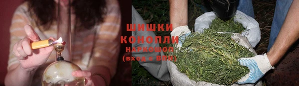 СК Абинск