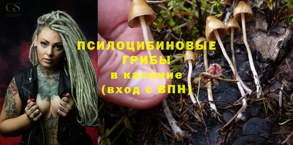 меф Алексин