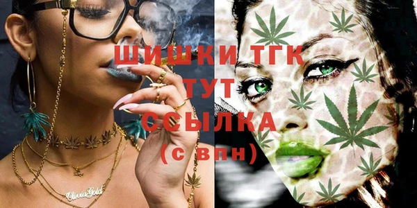 гидра Абаза