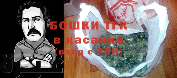 гидра Абаза