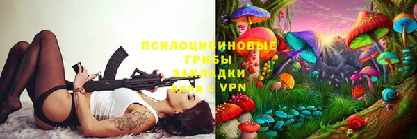 гидра Абаза