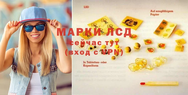гидра Абаза